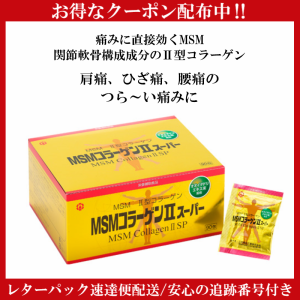 ＭＳＭコラーゲンII スーパー MSM 日邦薬品 MSM II型コラーゲンIIスーパー 90包 賞味期限2025年7月31日 関節の痛みを軽減 軟骨 関節軟骨