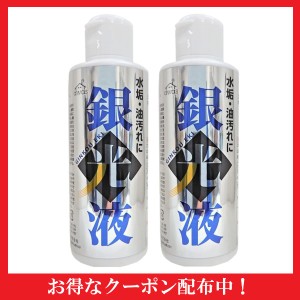 ロケット石鹸 銀光液 100g 2本 頑固 油汚れ 水あか トイレ 風呂場 こげつき 特許取得 クレンザー キッチン 水回り 汚れ落とし 上質な研磨