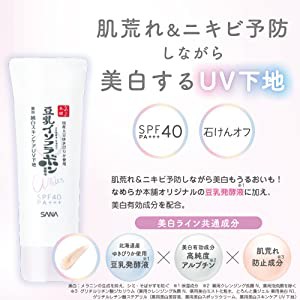 なめらか本舗 薬用美白スキンケアＵＶ下地 トーンアップ 皮脂吸着パウダー 1本6役 せっけんオフ サナ sana 常盤薬品 ノエビア 化粧下地 5