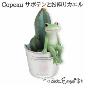 Copeau サボテンとお座りカエル コポー サボテン バケツ マスコット 雑貨 置物 小物 オブジェ カエル かえる 蛙 フロッグ コポタロウ か