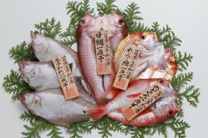 産地直送 島根県沖産 一夜干 恵比寿 送料込み のどぐろ、エテかれい、甘鯛、れんこ鯛 （冷凍） ギフト 干し物 お取り寄せ 岡富商店