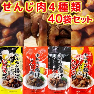 広島名産 せんじ肉 ４種類 ４０袋セット 送料無料 （せんじ肉、スパイシー、にんにく風味、とうがらし味） ４０ｇ×１０　送料無料 銀座T