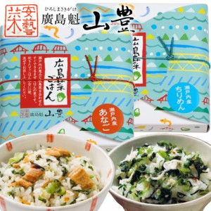 広島菜ごはん 【ちりめん】【あなご】 まぜご飯 ２箱セット (１箱１００ｇ２合用) 送料込み 漬物 手土産 山豊漬物