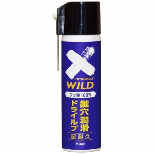 AZ DKL-001鍵穴潤滑 ドライルブ スプレー 50ml フッ素100％ 鍵穴用潤滑剤 鍵穴潤滑剤 鍵穴専用潤滑剤 鍵穴スプレー 939