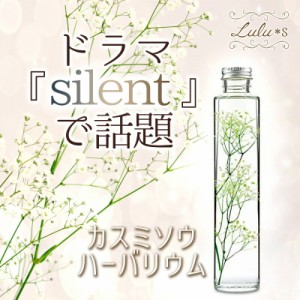 カスミソウ かすみ草 ハーバリウム かすみそう Gypsophila 幸福 silent サイレント ドラマ 最終回 プリザーブドフラワー ドライフラワー 