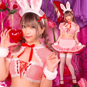 送料無料 SugarWhip うさメイド レッドベリー セクシーランジェリー つんこ 宮本彩希 シースルー レッド 赤 メイド バニー バニーガール 