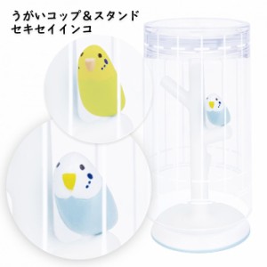 うがい コップ ＆ スタンド セキセイインコ 洗面所 割れにくい 滑りにくい 歯磨き プラスチック カップ セット 鳥 動物 インコ グリーン 