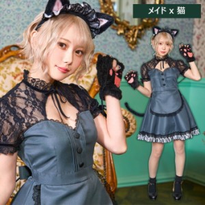 送料無料 レディアニマル メイド × 猫 ブラック グレー 耳 猫耳 猫耳カチューシャ メイド服 キャット ネコ ねこ 黒猫 ワンピース 動物 