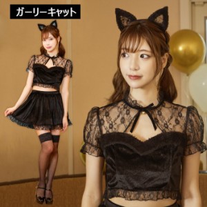 GLOWHOLIC ガーリーキャット 黒 ブラック 黒猫 キャット ネコ ねこ 猫耳 耳 みみ 猫耳カチューシャ しっぽ 尻尾 レース 動物 動物コスプ