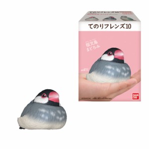 送料無料 BANDAI Candy てのりフレンズ10 第10弾 12個入 BOX ボックス バンダイ 食玩 セキセイインコ ウロコインコ 文鳥 ウグイス クルマ