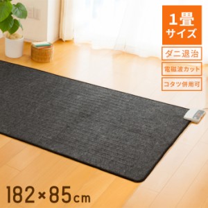 送料無料 一畳 サイズ 電気ホットカーペット 182×85cm 1畳 一人用 1人用 1畳用 パーソナル 本体 電気カーペット 電気マット ホットマッ