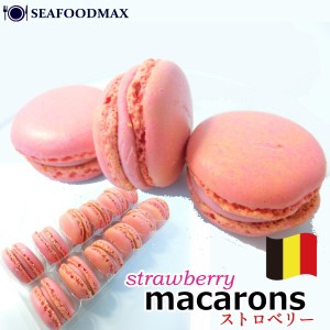 マカロン ストロベリー味 １２個入 ベルギー産（特送）【送料無料】・マカロン【ストロベリー】・
