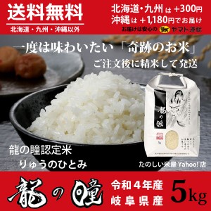 龍の瞳 5kg　岐阜県産 いのちの壱 令和5年産米 白米 ご注文後に精米・発送 送料無料（一部地域除く）