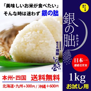 銀の朏1kg 白米 岐阜県飛騨地区 特別栽培米 ぎんのみかづき いのちの壱 令和5年産 送料無料（一部地区除く）