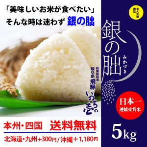 銀の朏5kg 白米 岐阜県飛騨地区 特別栽培米 ぎんのみかづき いのちの壱 令和5年産 送料無料（一部地区除く）