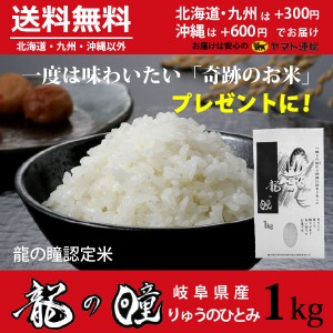 龍の瞳 1kg 岐阜県産 いのちの壱 令和5年産米 白米 プレゼントに最適 ご注文後に精米・発送 送料無料（一部地域除く）　