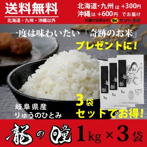 龍の瞳 3kg（1kg×3袋） お得セット 岐阜県産 いのちの壱 令和5年産米 白米 ご注文後に精米・発送 送料無料（一部地域除く）　