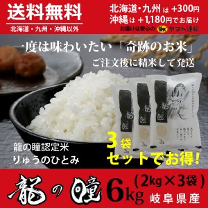 龍の瞳 6kg （2kg×3袋） お得セット 岐阜県産 いのちの壱  令和5年産米 白米 ご注文後に精米・発送 送料無料（一部地域除く）　