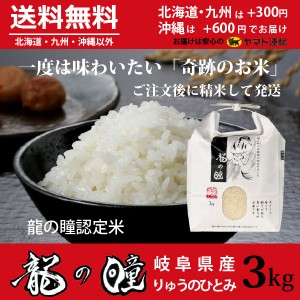 龍の瞳 3kg 岐阜県産 いのちの壱 令和5年産米 白米 ご注文後に精米・発送 送料無料（一部地域除く）　