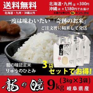 龍の瞳 9kg（3kg×3袋）お得セット 岐阜県産 いのちの壱 令和5年産 白米 ご注文後に精米・発送　送料無料（一部地域除く）　