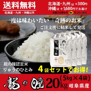 龍の瞳 20kg （5kg×４袋）お得セット 岐阜県産 いのちの壱 令和5年産米 白米 ご注文後に精米・発送 送料無料（一部地域除く）　