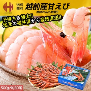 甘エビ 甘えび 特大 子持ち 刺身 500g 冷凍 越前甘エビ 福井県 ギフト 父の日 送料無料