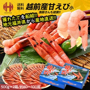 甘エビ 甘えび 子なし 小 刺身 1kg 500g×2箱 約80〜100尾 冷凍 越前甘エビ 福井県 ギフト 父の日 送料無料