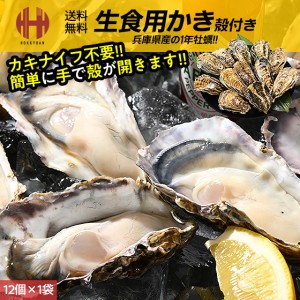 カキ かき 牡蠣 殻付き 生食用 12個 冷凍 兵庫県室津産 冷凍殻付き牡蠣 生牡蠣 生食 バーベキュー 海鮮 BBQ  ギフト 送料無料