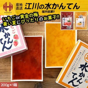 水かんてん えがわの水かんてん 福井 江川 水寒天 200g×1箱 いちご 黄金の梅 生菓子 ギフト