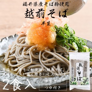 そば 蕎麦 越前そば 2食入り 半生 つゆ付き 福井 お土産 ギフト 母の日 父の日 贈答