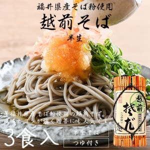 そば 蕎麦 越前そば 3食入り 半生 つゆ付き 福井 お土産 ギフト 父の日 贈答