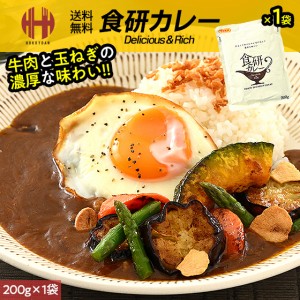 日本食研カレー 200g×1袋 中辛口 日本食研 カレー レトルト レトルトカレー