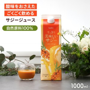 すっきり美味しいサジー 1000ml 鉄分補給 SajiOne 飲みやすいサジージュース SajiOne公式 子供 アミノ酸 リンゴ酸 ミネラル ドリンク ゆ