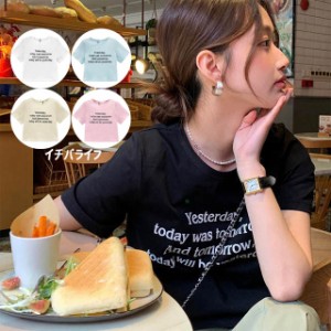 英字柄 Tシャツ レディース 綿 半袖 ｔシャツ ショート 着やせ ゆったり  夏 春 体型カバー オシャレ 