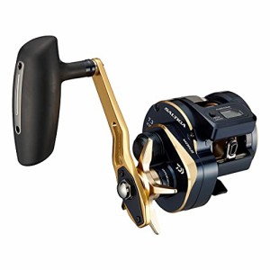 ダイワDAIWA 21 ソルティガIC 300H-SJ