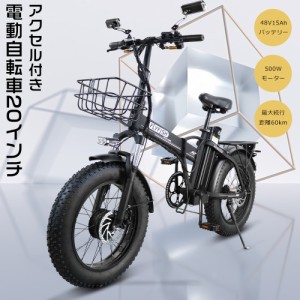 FLYFISH 公道走行可能 フル電動自転車 20インチ モペット 電動自転車 ファットバイク 電動 電動折りたたみ自転車 電動バイク 公道走行可