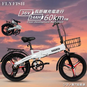FLYFISH 電動アシスト自転車 20インチ 折りたたみ自転車 電動自転車 公道走行可能電動バイク 折りたたみ電動アシスト自転車 20インチ ク