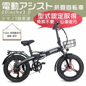 20インチアシスト自転車 型式認定獲得 公道可 折り畳み自転車 電動アシスト自転車 二輪車 シティサイクル シマノ外装7段変速 カゴ 荷台 