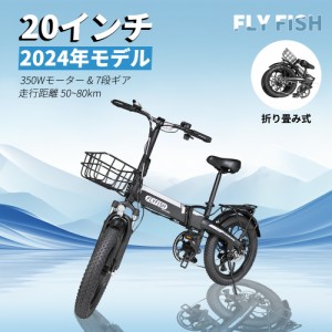 折り畳み 自転車 荷台の通販｜au PAY マーケット