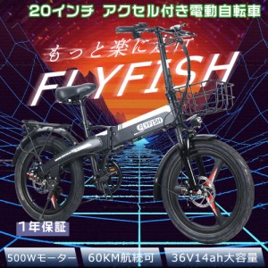1年保証 FLYFISH eバイク フル電動自転車 20インチ 電動アシスト自転車 折りたたみ 20インチ モペット型 電動自転車 折りたたみ ファット