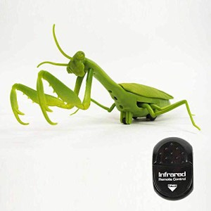 カマキリ ラジコン Mantis Radio Controlled