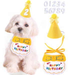 犬 誕生日 帽子 犬 猫用 誕生日グッズ 誕生日帽子 3点セット バースデー帽子 ペット用誕生日帽子 帽子 数字付き クラウン きらきら バー