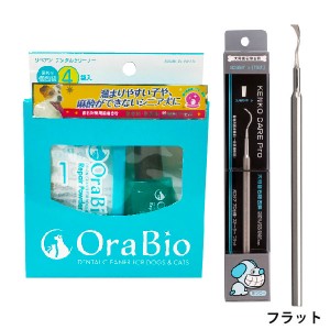 リペアン デンタルクリーナー 4回分入、犬口ケア プロ仕様 スケーラー フラット ♭【追跡可能メール便】【全国一律送料無料】