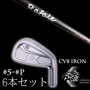 エミリットバハマ カールヴィンソン CV8アイアン #5-PW 6本セット ラファール Rafale i-65 ネクストゴルフ EMILLID BAHAMA