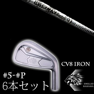 エミリットバハマ カールヴィンソン CV8アイアン #5-PW 6本セット ワクチンコンポ GR450V EMILLID BAHAMA