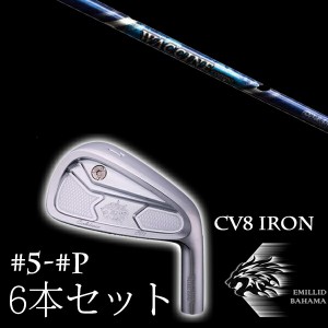 エミリットバハマ カールヴィンソン CV8アイアン #5-PW 6本セット ワクチンコンポ GR560 EMILLID BAHAMA