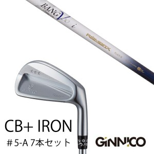 7本セット/イオンスポーツ ジニコ GINNICO CB+ Iron #5-A/ムジーク ロンバックス バンブー プレミアム/EONSPORTS