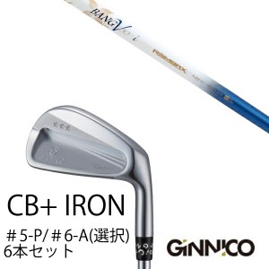 6本セット イオンスポーツ ジニコ GINNICO CB+ Iron #5-P ＃6-A 番手選択 ムジーク ロンバックス バンブー プレミアム ライト EONSPORTS