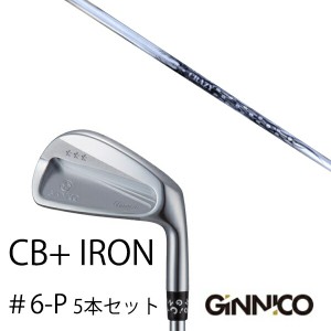 5本セット/イオンスポーツ ジニコ GINNICO CB+ Iron #6-P/クレイジー CBI-9 CRAZY/EONSPORTS