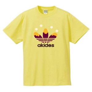 （ゆうパケット対応）おもしろキッズTシャツ 「akides」 ジュニアサイズの半袖Tシャツ